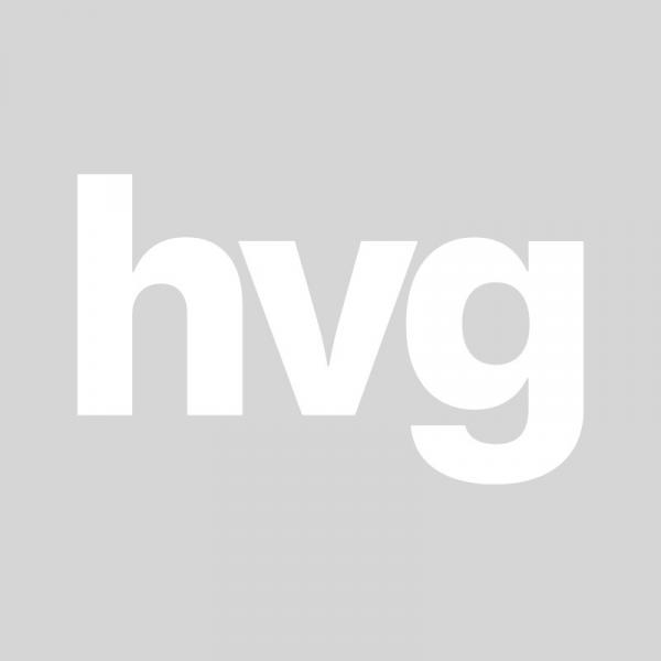 Az oktatás világa folyamatosan változik, és a hvg.hu oldalán megjelenő cikkek mindig friss perspektívákat kínálnak. Az új pedagógiai módszerek, a digitális technológia integrálása, valamint a diákok igényeinek figyelembevételével egyre inkább személyre sz