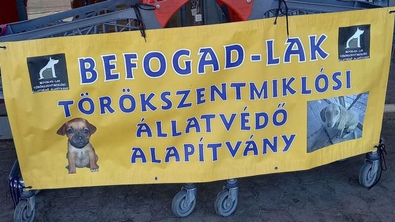 Ez forradalmasíthatja a helyzetet! Miklóson egy új megoldás született, amely a régóta fennálló kihívásokra ad választ.