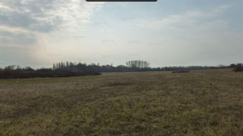 Különleges ajánlat: megfizethető telek a Balaton szomszédságában!