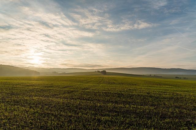 Heti időjárás-előrejelzés 2024. december 16-tól 21-ig - Agrotrend

Ez a hét izgalmas időjárási eseményekkel kecsegtet, amelyek hatással lesznek a mezőgazdasági tevékenységekre. Az előrejelzések szerint a hét elején hűvösebb, de napos időjárás várható, ami