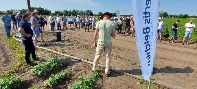 A burgonyatermesztés sikerének záloga lehet a hazai fajták alkalmazása, amelyek kiváló alkalmazkodóképességgel rendelkeznek. A helyi körülményekhez igazított fajták nemcsak a hozamot növelhetik, hanem a minőségüket is javíthatják. A megfelelő technológiai