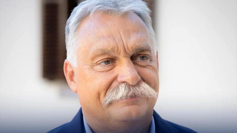 Orbán Viktor különös üzenetet küldött Majkának, amelyben Kövér László jellegzetes bajuszát használta szimbolikus közvetítőként. Az esemény meglepetést okozott, hiszen a politikai élet ritkán merít a humoros vagy szokatlan eszközökből. A bajusz, mint a nem