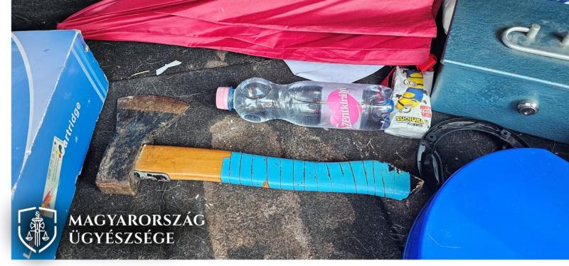 Egy fiú, akiben sötét indulatok lobbantak fel, képes lett volna a legszörnyűbb tettek végrehajtására, még saját szülei ellen is. Az elméjében dúló harc és fájdalom olyan mélyen gyökerezett, hogy elgondolkodott azon, hogy megsemmisítse azt, ami valaha a le
