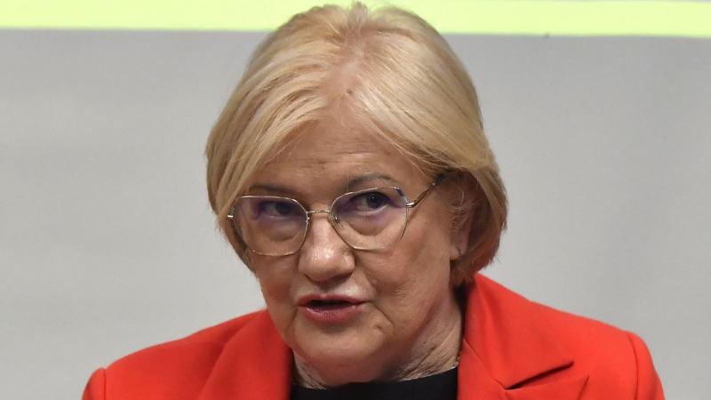 Szili Katalin: A nemzeti kisebbségek jogainak érvényesítéséhez elengedhetetlen a parlamenti képviselet biztosítása.
