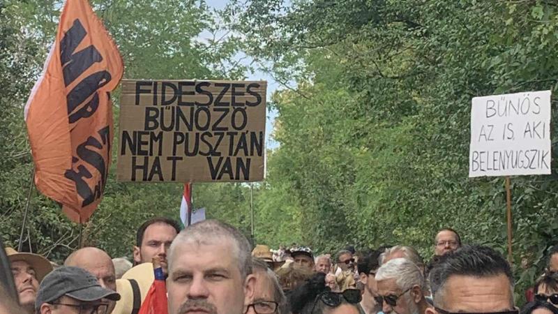 Létrakilátóval demonstrál Hadházy Ákos Hatvanpusztán, miközben Orbán Viktort már Pablo Escobarhoz hasonlítják a közbeszédben.