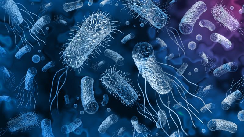 A WHO figyelmeztetése szerint az antibiotikum-rezisztencia a következő három évtizedben vezető halálokká válhat. Ez a jelenség komoly fenyegetést jelent az egészségügy számára, hiszen a gyógyszerek hatékonysága csökken, ami miatt egyre nehezebb kezelni a 