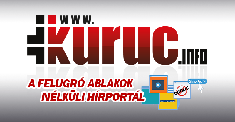 Berlin felkérte a grúziai képviselet vezetőjét, hogy tájékozódjon a német nagykövet tevékenysége által kiváltott következményekről.