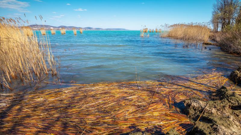 A Balaton körüli nyári szezon sokak számára a pihenés és kikapcsolódás időszaka, azonban számos ellentmondásra derül fény a turizmus és a helyi közösségek életében. Mi áll ezek mögött? A Pénzcentrum cikkében feltárulnak a balatoni szezon rejtett dinamikái