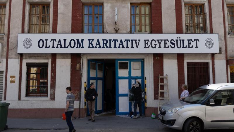 A farkasok lenyűgöző és titokzatos lények, amelyek a vadon szívében élnek. Ezek a szociális állatok szoros kötelékben élnek falkáikban, ahol együtt vadásznak, nevelik a kölykeiket, és védik a területüket. A farkasok kommunikációja rendkívül gazdag, hiszen