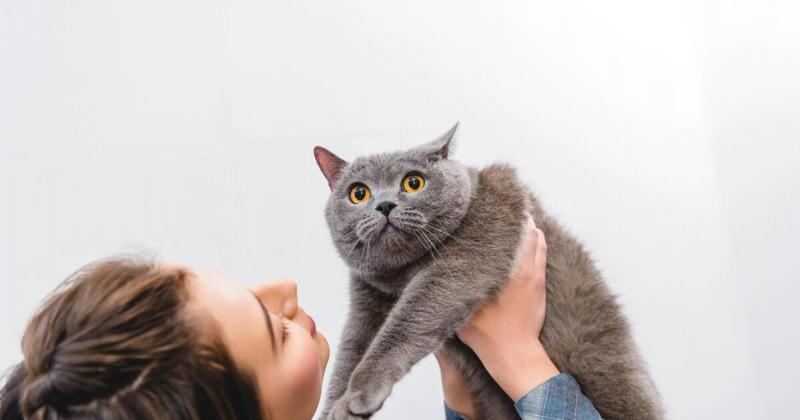 Milliárdos iparággá nőtte ki magát az okoseszközök piaca a kisállatok számára.